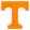 Tennessee Volunteers