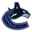 Vancouver Canucks