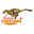 Cheetahs