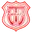 Técnico Universitario