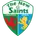 The New Saints