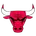 Chicago Bulls