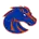 Boise State Broncos
