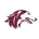 Southern Illinois Salukis
