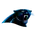 Carolina Panthers