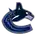 Vancouver Canucks