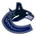 Vancouver Canucks