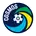 New York Cosmos