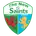 The New Saints