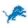 Detroit Lions