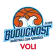 Buducnost VOLI Podgorica Basket
