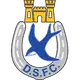 Dungannon Swifts