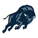 Howard Bison