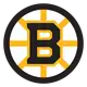 Boston Bruins