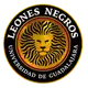 Leones Negros