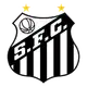 Santos Femenil