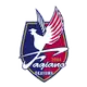 Fagiano Okayama