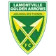 Golden Arrows