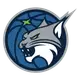 Minnesota Lynx
