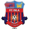Dila Gori