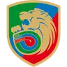Miedź Legnica