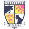 Tegevajaro Miyazaki