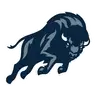 Howard Bison