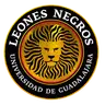 Leones Negros