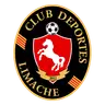 Deportes Limache