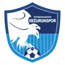 Erzurum BB