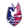 Fagiano Okayama