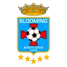 Blooming