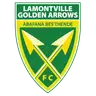 Golden Arrows