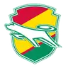 JEF United Ichihara-Chiba