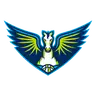 Dallas Wings