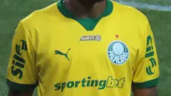 Allan em partida pelo Palmeiras contra o Sport