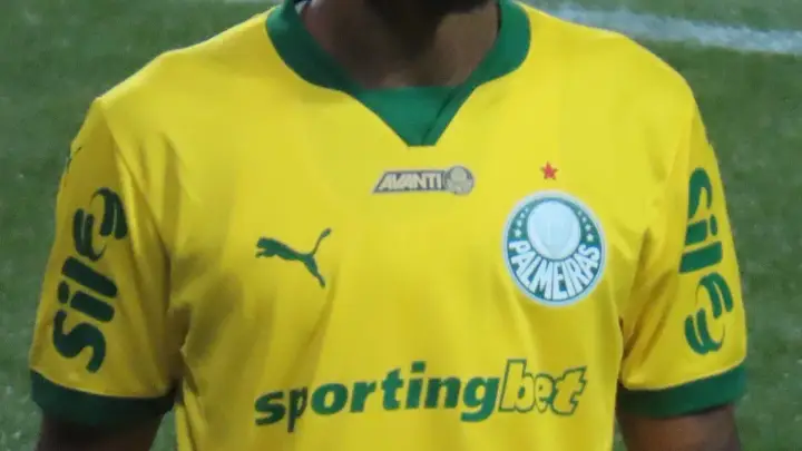 Allan em partida pelo Palmeiras contra o Sport