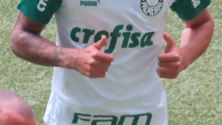 Richard Ríos con el Palmeiras en 2024