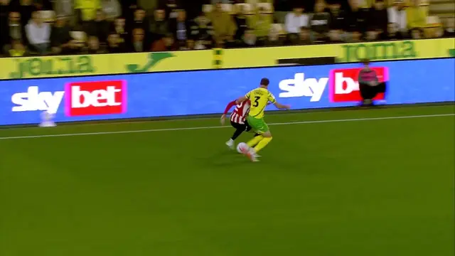 Norwich City v Southampton Highlights