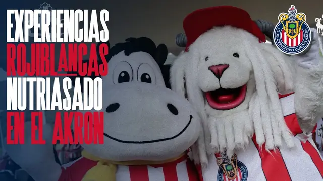 🇦🇹 ¡UNA NUTRIEXPERIENCIA ROJIBLANCA INCREÍBLE! 🤩