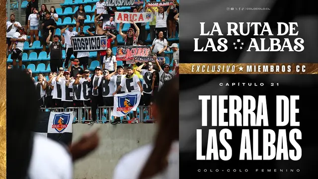 𝐋𝐚 𝐫𝐮𝐭𝐚 𝐝𝐞 𝐥𝐚𝐬 𝐚𝐥𝐛𝐚𝐬 | Capítulo 21: Tierra de las albas
